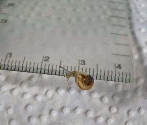 DSCF9918.JPG