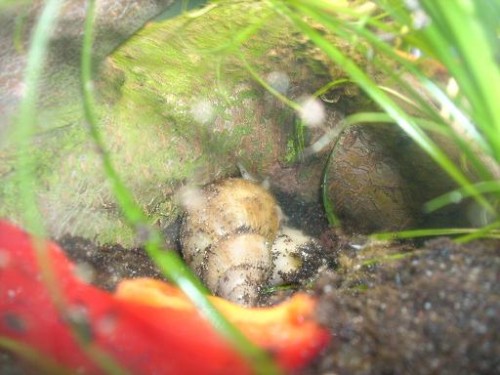 SandraReitsachen 027klein.JPG