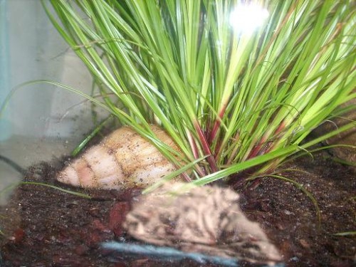 SandraReitsachen 025klein.JPG