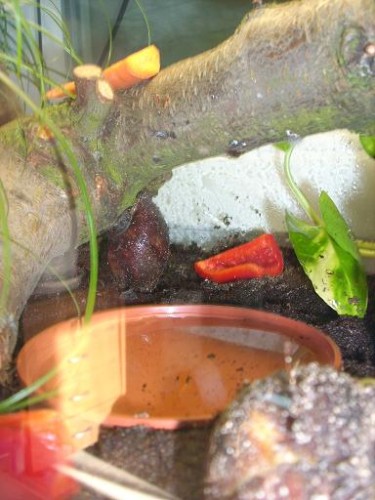 SandraReitsachen 021klein.JPG