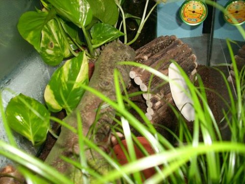 SandraReitsachen 013klein.JPG