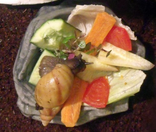 DSCF0015.2.JPG