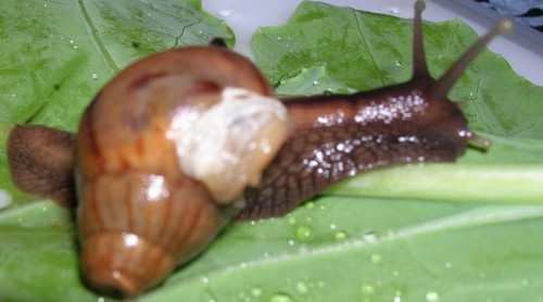 bild3.JPG