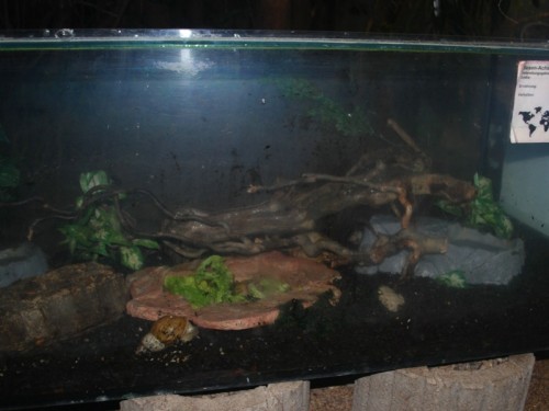 p2.jpg