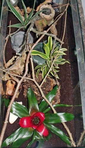 DSCF0268.JPG