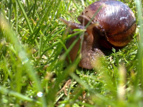 vcm_s_kf_repr_832x624 (2).jpg