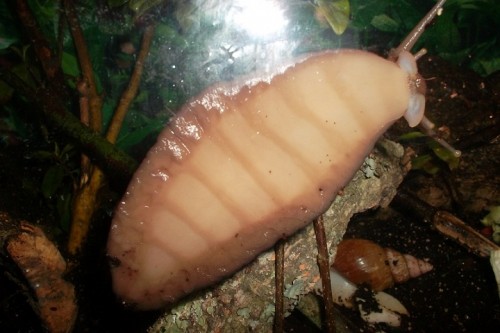 SAM_1762 - Kopie.JPG