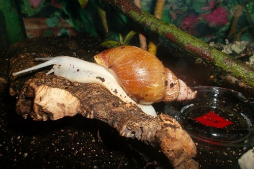 SAM_1764 - Kopie.JPG