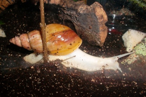 SAM_1729 - Kopie.JPG