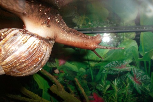 SAM_1221 - Kopie.JPG