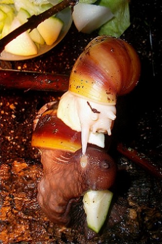 SAM_1854 - Kopie.JPG