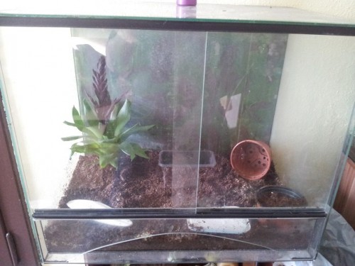 2013-03-06 09.08.56.jpg