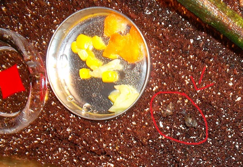 SAM_1210 - Kopie.JPG