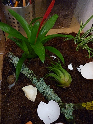 P1030600a.jpg