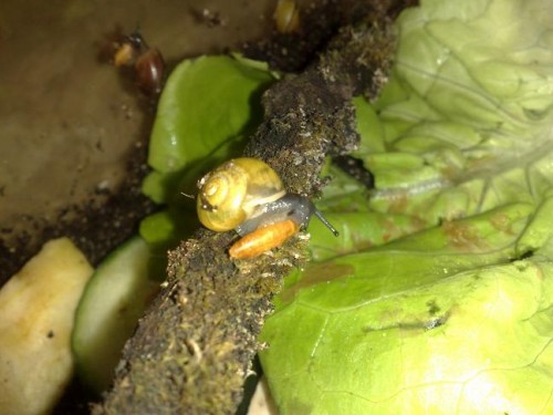 031120121005 - Kopie.jpg