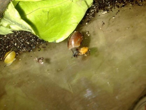 031120121006 - Kopie.jpg