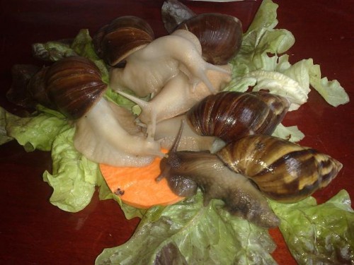 040420131597 - Kopie.jpg