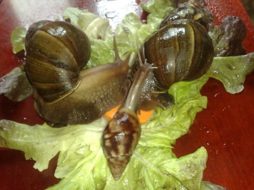 040420131606 - Kopie.jpg