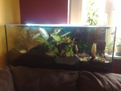 040420131609 - Kopie.jpg