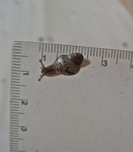 06.04.2013 - Fin und Inge (11).JPG