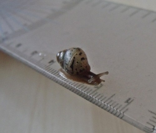 06.04.2013 - Fin und Inge (7).JPG