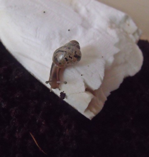 06.04.2013 - Fin und Inge (17).JPG