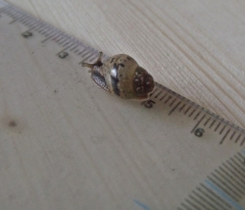 06.04.2013 - Fin und Inge (3).JPG