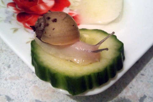 2013-04-16 23.23.44 Kopie.jpg