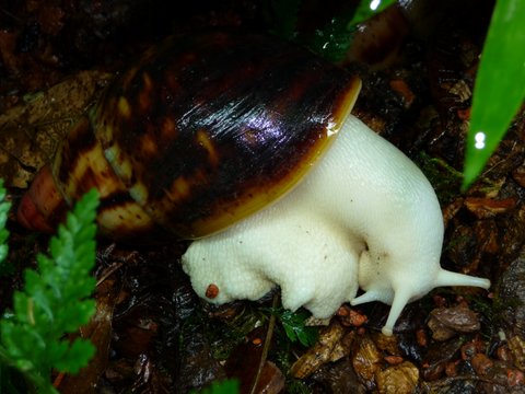 P1090308-001.JPG
