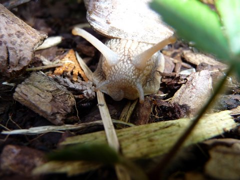 P1090411.JPG