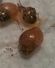 2013-05-26 22.50.12.png