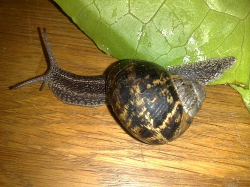 270520131863 - Kopie.jpg