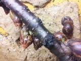 20130530_182248.jpg