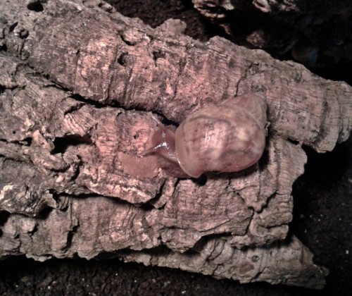 29.05.2013 - Fin und Inge (2).jpg