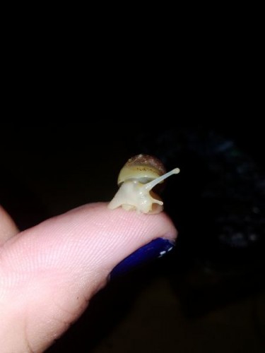 verkleinert (13).jpg