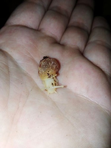 verkleinert (12).jpg