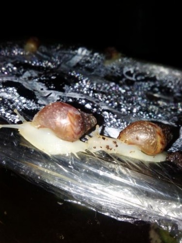 verkleinert (14).jpg