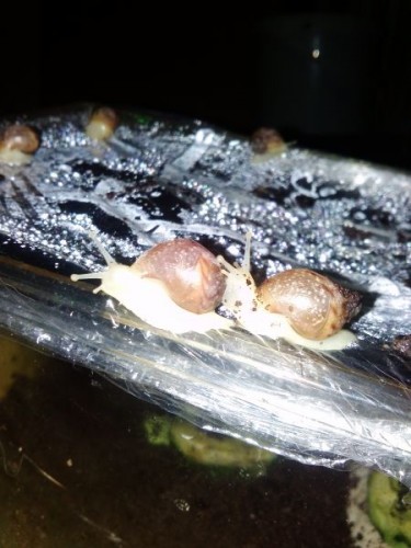 verkleinert (15).jpg