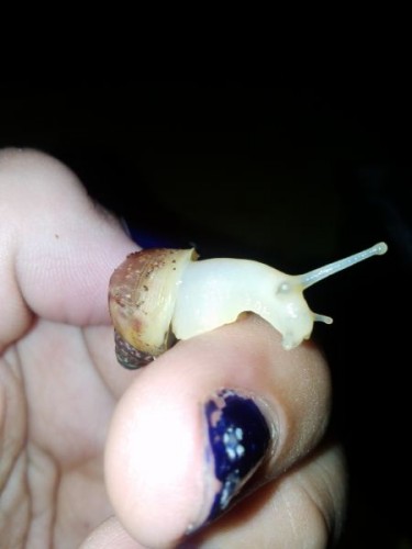 verkleinert (10).jpg