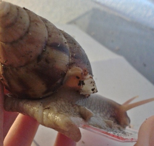 2013-08-06 08.03.41.jpg