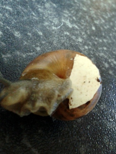 2013-09-01 13.29.51.jpg