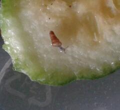 2013-09-25 09.08.57-1.jpg