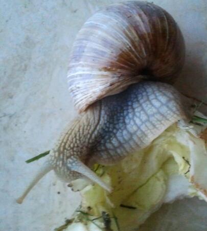 2013-10-02 18.53.42-1.jpg