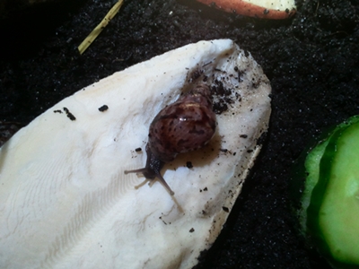 20131002_103848.jpg