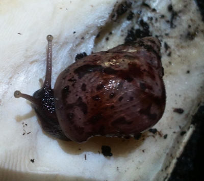 20131002_103912r.jpg
