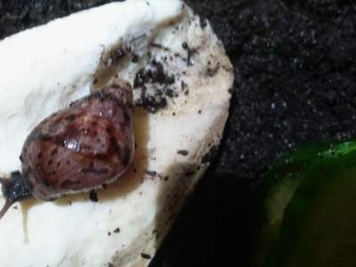20131002_103903.jpg
