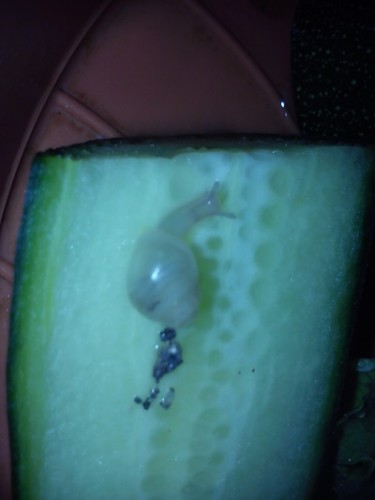 Handy 15.9.2013 046.jpg