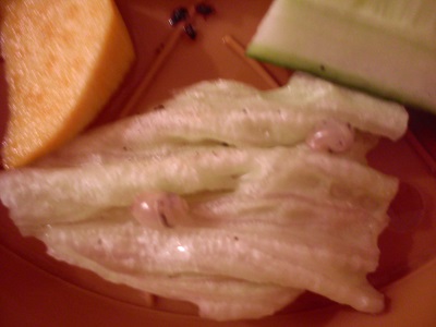 Handy 15.9.2013 050.jpg