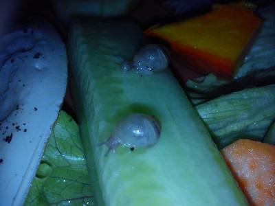 Handy 15.9.2013 051.jpg