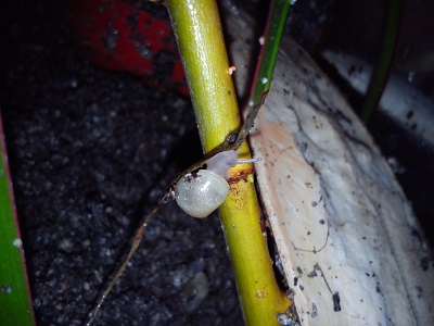 Handy 15.9.2013 091.jpg